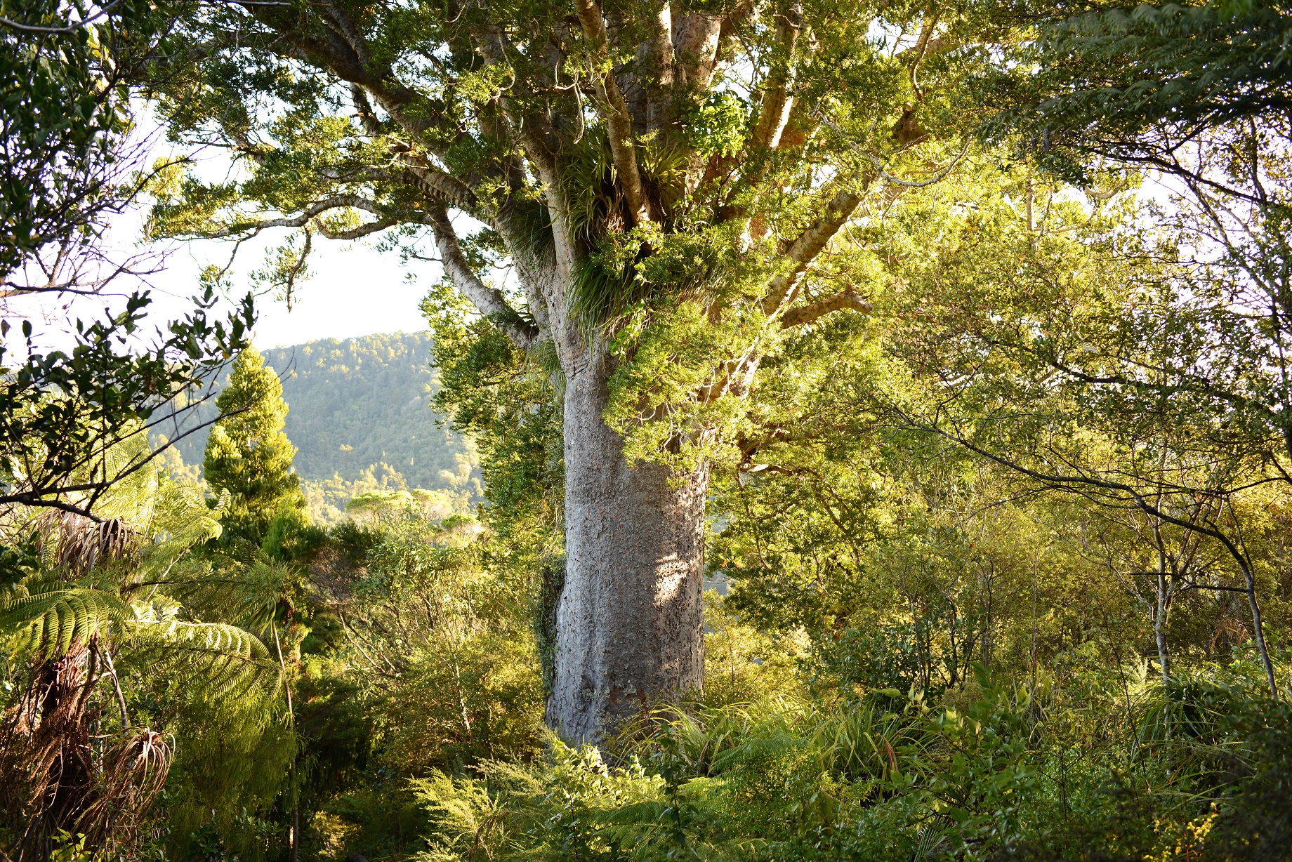 june co winner tony bayly low res