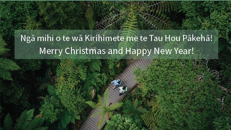 Website banner newsletter