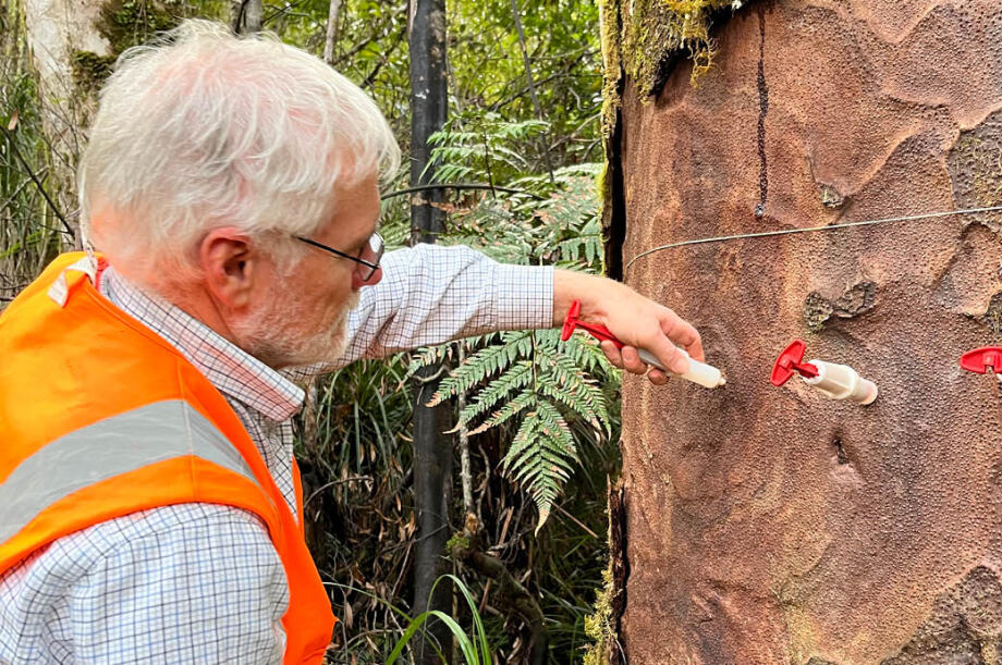 Man stands next to tree with syringes inserted in it 