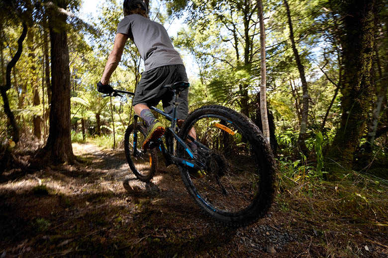 Person mountain biking facing away from camera