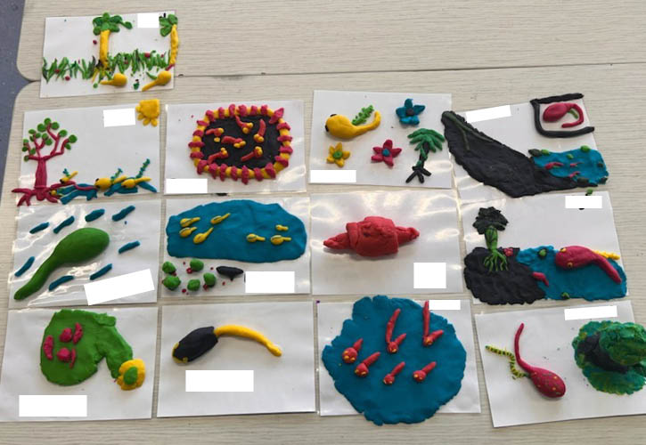 Art projects depicting the ‘oospores